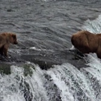 Screen Shot 2016-07-08 at 9.44.08 PM.jpg